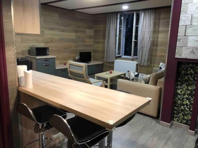Deux Beaux Appartements En Plein Coeur De Dijon 디종 외부 사진